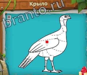 решения на игру Загадочный остров вконтакте уровень 204 крыло