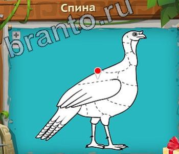 игра Загадочный остров подсказки одноклассники уровень 207 спина птицы