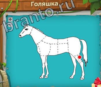 приложение Загадочный остров ответы на все задания 219 голяшка лошади, коня