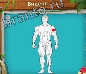 видповиди на игру Загадочный остров уровень 232 бицепс