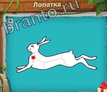 ответы на игру Загадочный остров уровень 241 лопатка