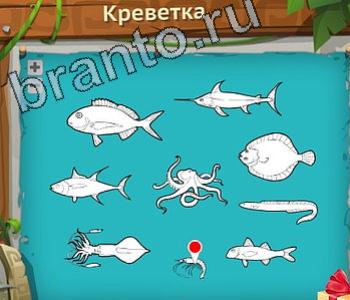 ответы на игру Загадочный остров уровень 243 креветка