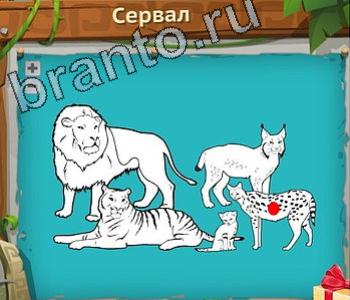 игра Загадочный остров відповіді в контакте уровень 260 сервал