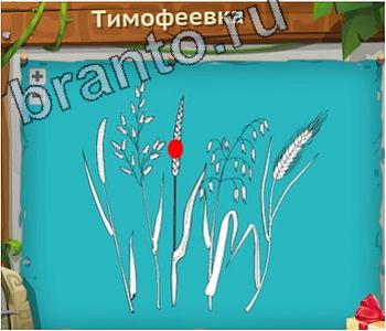 Загадочный остров игра відповіді в контакте уровень 268 тимофеевка