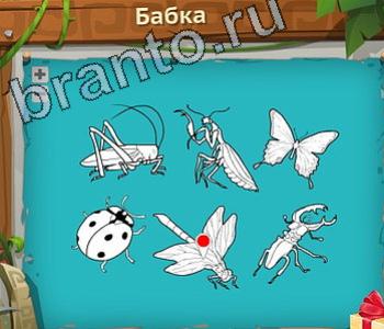 Загадочный остров ответ на уровень 271 насекомое бабка