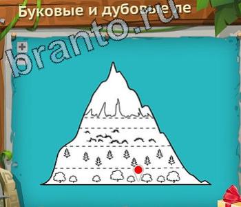 Загадочный остров игра ответы уровень 284 буковые и дубовые леса