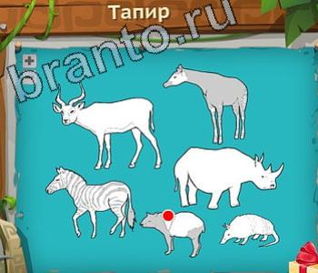 ответы на игру Загадочный остров уровень 298 тапир