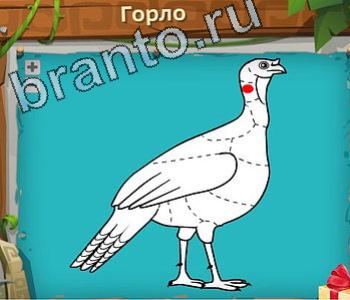 Загадочный остров ответ на уровень 312 одноклассники Апатосаурус