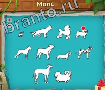 подсказки на игру Загадочный остров уровень 300 птица шея