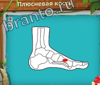 Загадочный остров ответ на уровень 362 одноклассники Апатосаурус