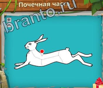 Загадочный остров игра ответы вконтакте уровень 363 капот