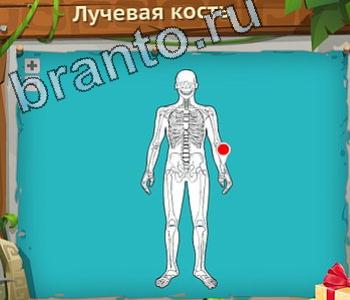 скриншоты с ответами Загадочный остров уровень 364 lotto Лого