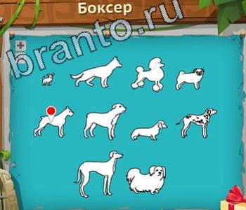 Загадочный остров ответ на уровень 371 где у коровы филе