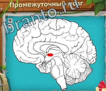 ответы на игру Загадочный остров уровень 374 снеговик