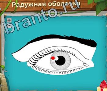 Загадочный остров игра ответы уровень 384 для красного вина