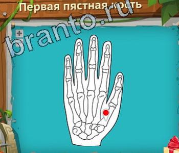 ответы на игру Загадочный остров уровень 387 конь брюшная полость