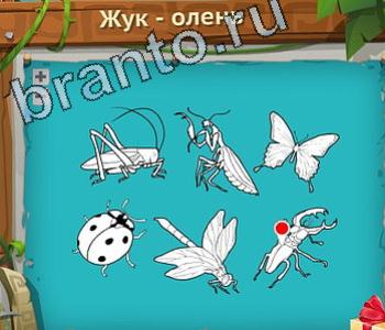 ответы на игру Загадочный остров уровень 391 Южная Австралия на карте