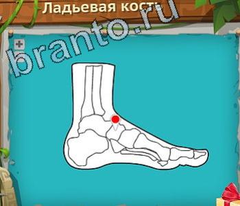 ответы на игру Загадочный остров уровень 393 вилка для торта