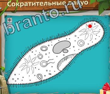 ответы на игру Загадочный остров уровень 396 радуга оранжевый цвет