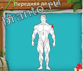 помощь на игру Загадочный остров одноклассники уровень 453 яндекс