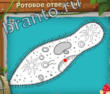 ответы на игру Загадочный остров вконтакте уровень 467 горн