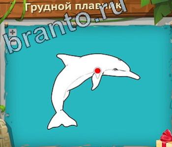 решения на игру Загадочный остров Одноклассники уровень 486 ЮАР на карте