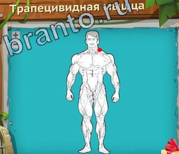 Загадочный остров ответы уровень 497 вертолет хвостовой редуктор