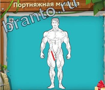 ответы на игру Загадочный остров уровень 498 Бурдж-Халифа