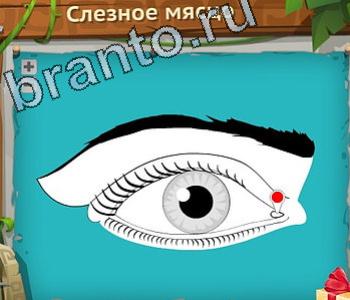 подсказки на игру Загадочный остров уровень 502 пингвин