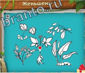 помощь на игру Загадочный остров одноклассники уровень 503 яндекс