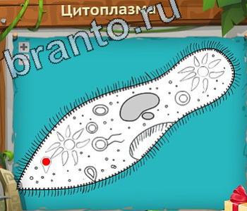 ответы на игру Загадочный остров уровень 526 число 20 римскими