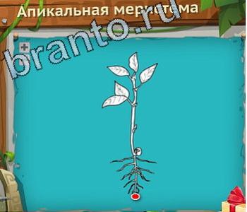 ответы на все уровни игры Загадочный остров уровень 531 созвездие жираф