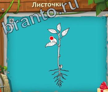 помощь на игру Загадочный остров уровень 533 таз