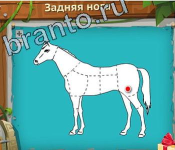 подсказки на игру Загадочный остров уровень 535 вызов доп меню