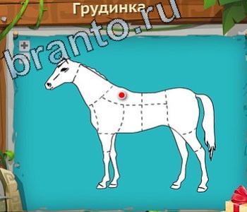 Загадочный остров ответ на уровень 540 косые мышцы живота