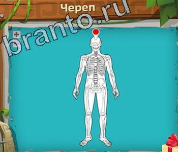 ответы Загадочный остров уровень 542 зеркало мотоцикл