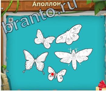 ответы на игру Загадочный остров уровень 543 вилка для торта