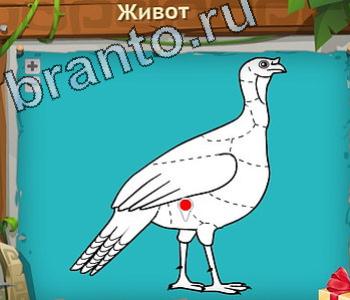 Загадочный остров ответы уровень 547 вертолет хвостовой редуктор