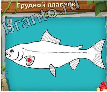 ответы на игру Загадочный остров уровень 651 пояс вечных снегов