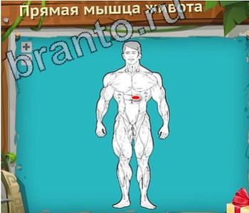 игра Загадочный остров відповіді в контакте уровень 661 третья пястная кость