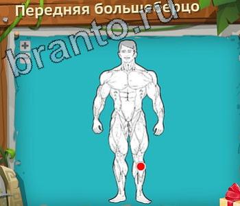 ответы на игру загадочный остров вконтакте Что уровень 665 легочная вена