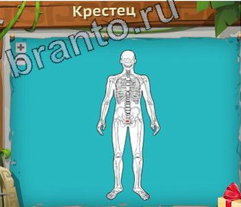 Загадочный остров ВК ответ на уровень 673 создать каталог