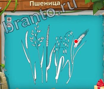 подсказки на игру Загадочный остров уровень 685 вызов доп меню